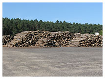 Golden Flame houtopslag