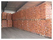 Houtopslag netzakken