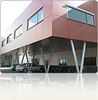 Golden Flame Tanzania